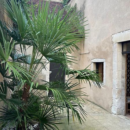 Cosy Appartement Hyper Centre Ville Avec Cour + Patio Осер Экстерьер фото